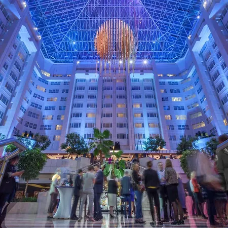 Otel Hilton