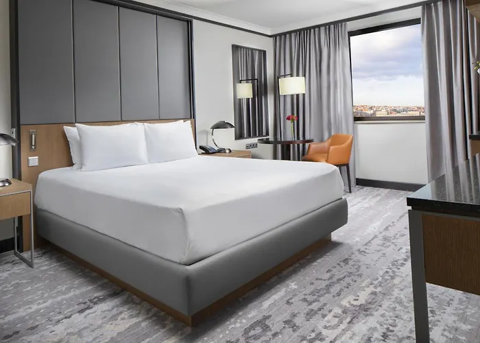 Hilton Atrium 布拉格